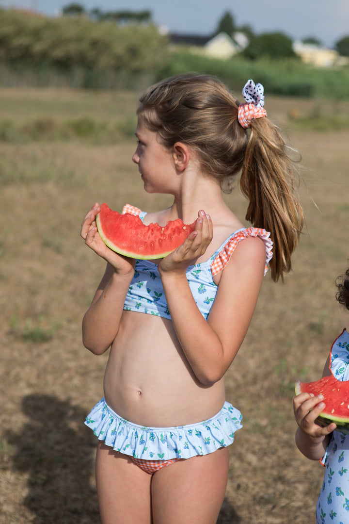 Bikini Blueberry Garden - سباح