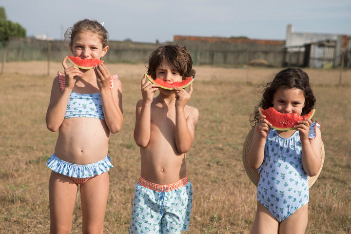 Bikini Blueberry Garden - سباح