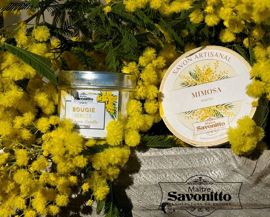 Maitre Savonitto