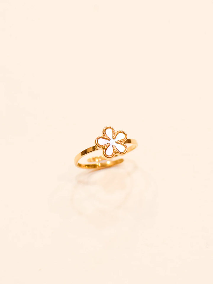 Ring Enaya - مستلزمات
