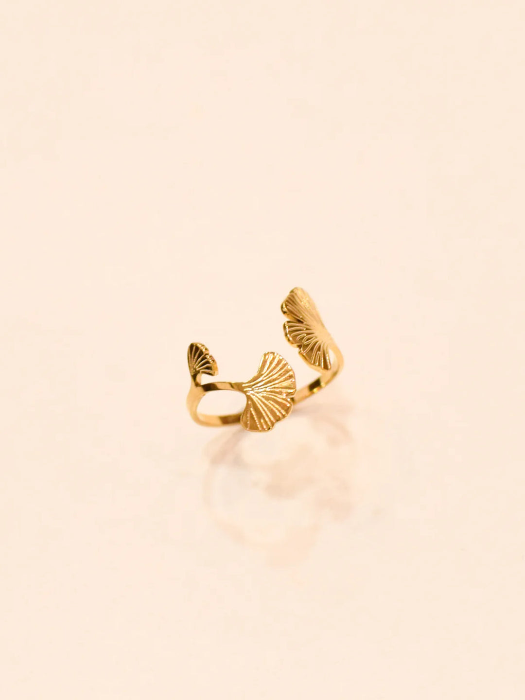 Ring Ginko - مستلزمات