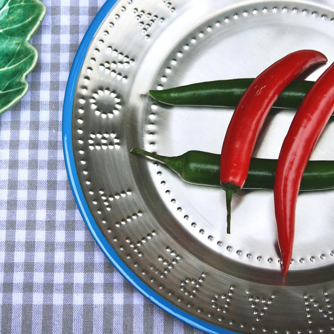 Stainless Steel Picnic Plate 25cm - Bon Appétit  - صينية