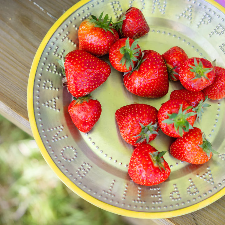 Stainless Steel Picnic Plate 25cm - Bon Appétit  - صينية