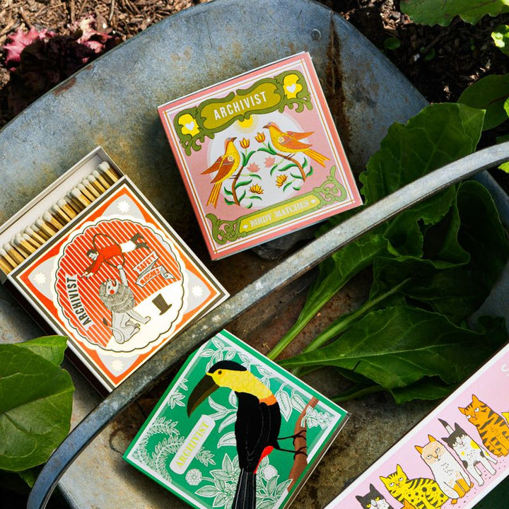 Archivist Birdy Matches luxury square matchbox with illustrated birds and floral design in pastel tones