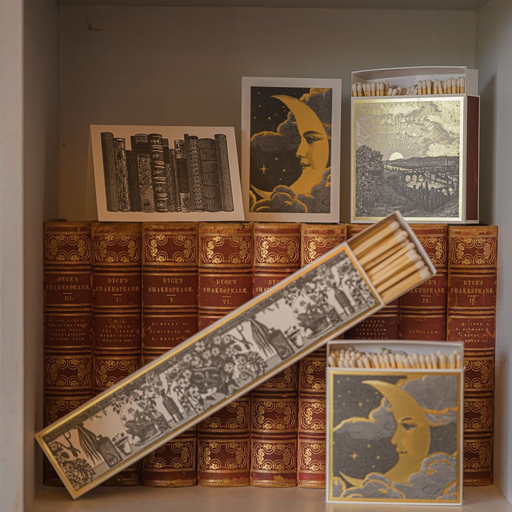 Archivist Botanist long luxury matchbox with botanical floral illustration