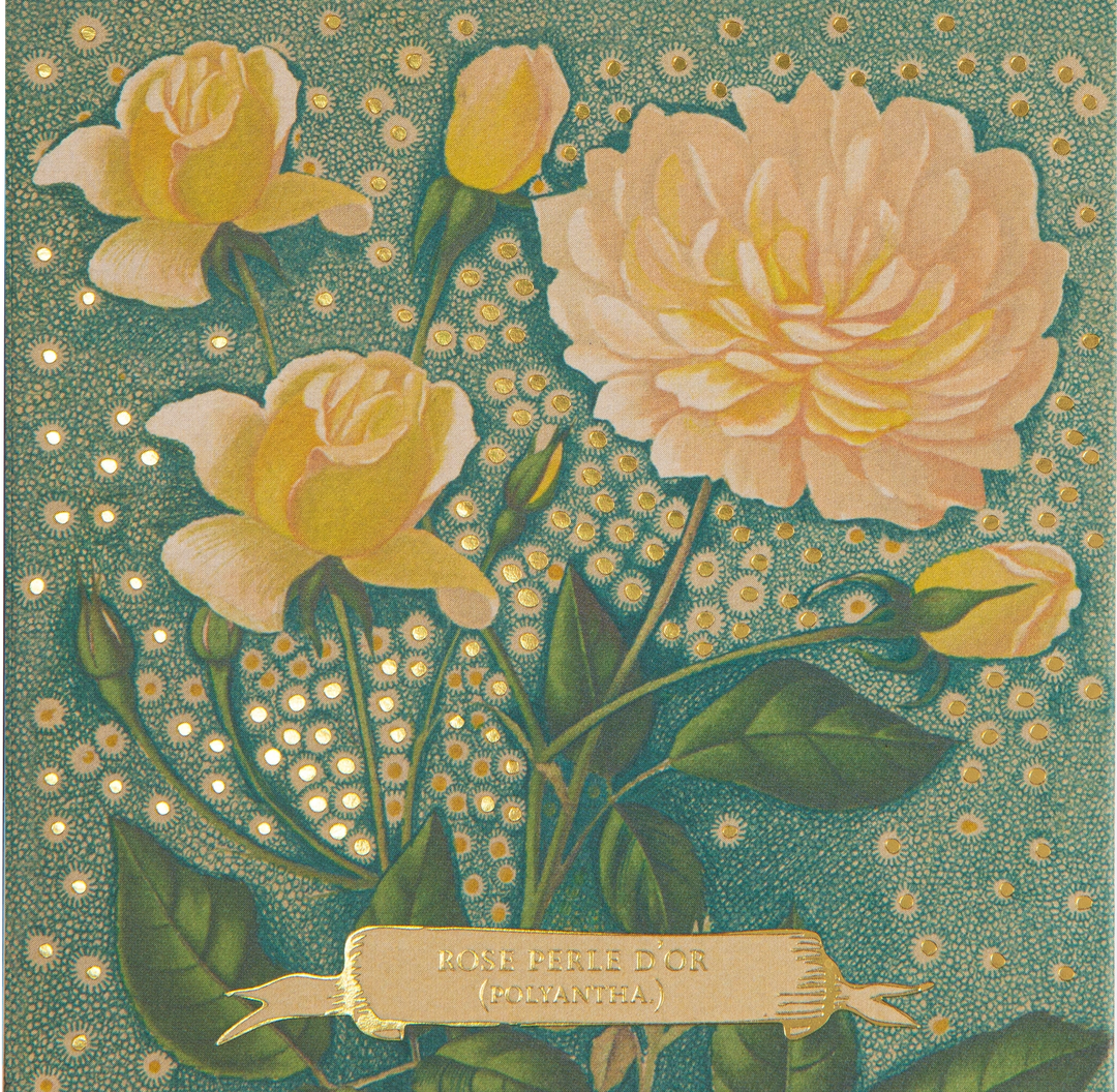 Archivist Rose Perle d’Or decorative floral matchbox with vintage botanical rose illustration