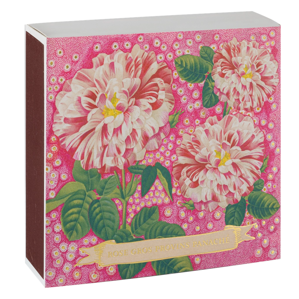 Archivist Rose Provin Panaché decorative floral matchbox with pink botanical rose artwork