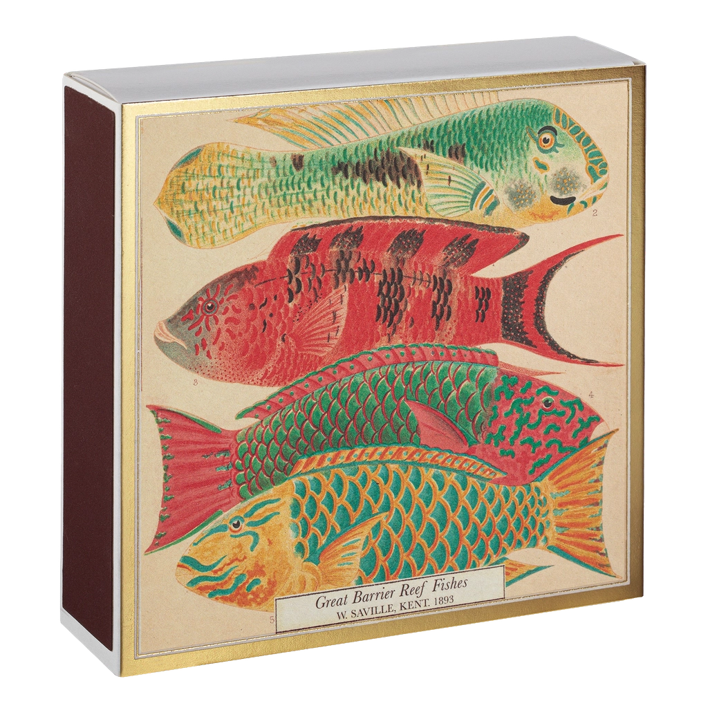 Archivist Fish Matches luxury decorative matchbox with colorful vintage fish illustration