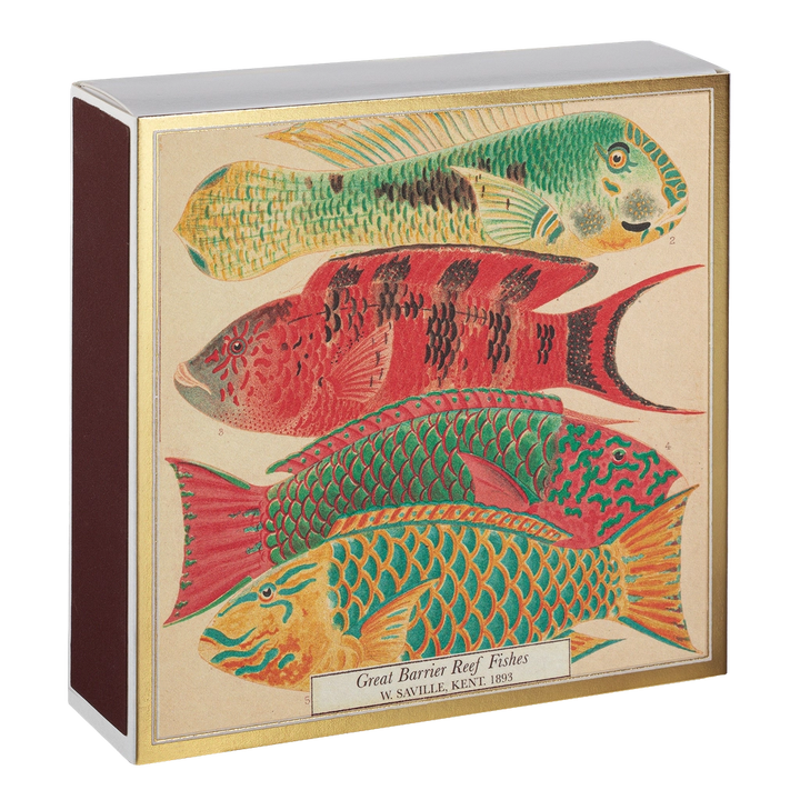 Archivist Fish Matches luxury decorative matchbox with colorful vintage fish illustration