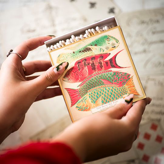 Archivist Fish Matches luxury decorative matchbox with colorful vintage fish illustration