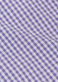 Blouse Girl Gingham Purple Finlea - قميص