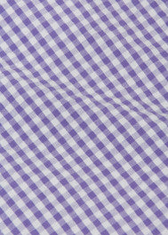 Blouse Girl Gingham Purple Finlea - قميص