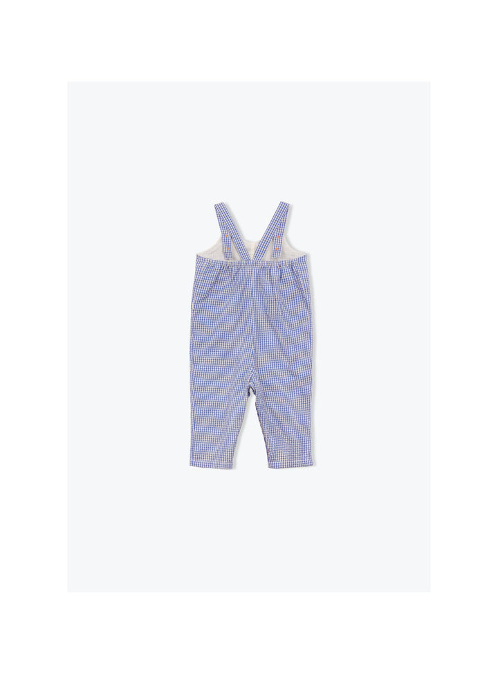 baby brown gingham cotton overalls
