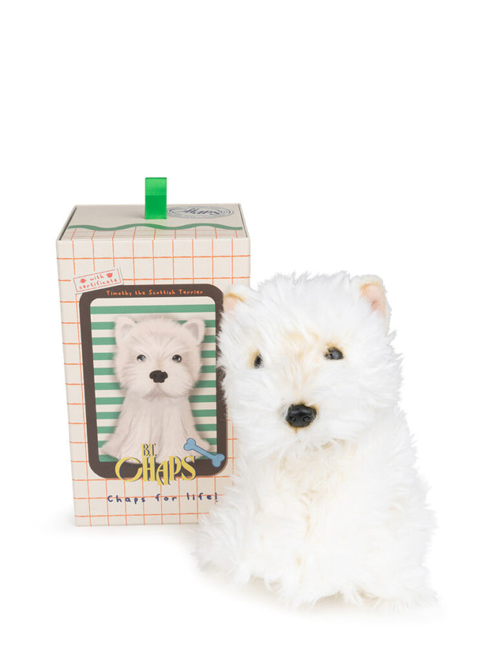 Timothy the Scottish Terrier in giftbox - لعب الاطفال الطرية