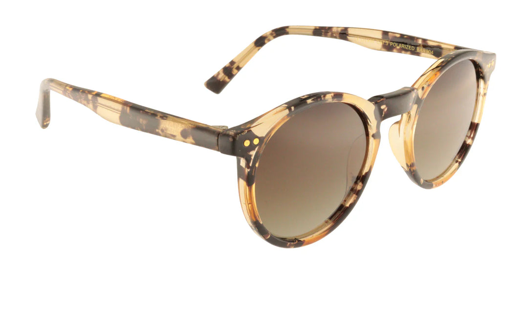 Sunglasses Adult Barcelona - Amber - نظارات