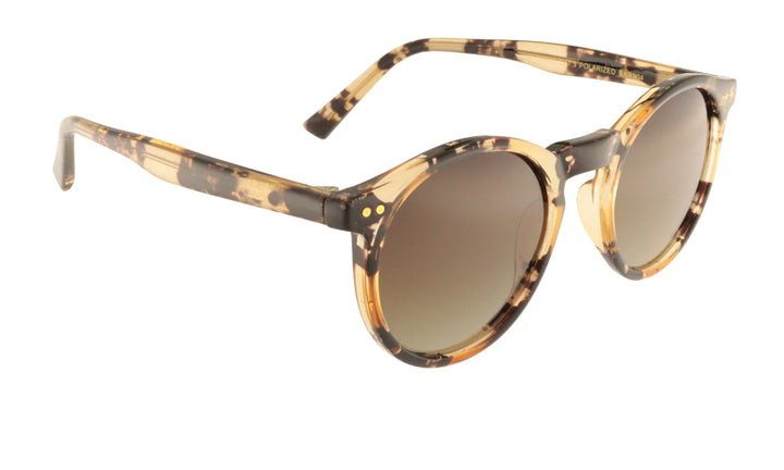 Sunglasses Adult Barcelona - Amber - نظارات