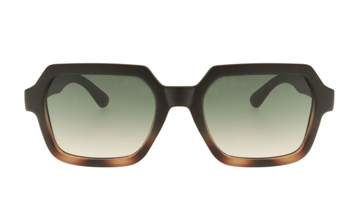 Sunglasses Adult Kylie - Hedgehog - نظارات