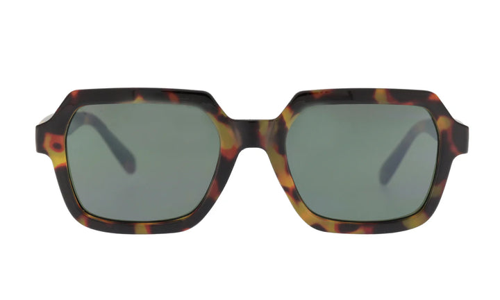 Sunglasses Adult Kylie - Military - نظارات