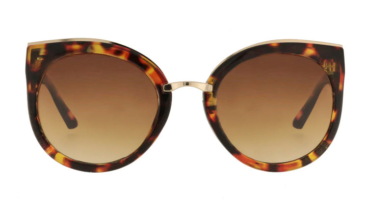 Sunglasses Adult Bianca- Tortoise - نظارات