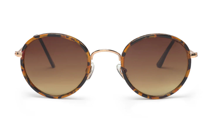 Sunglasses Adult Blackbird - Tortoise - نظارات