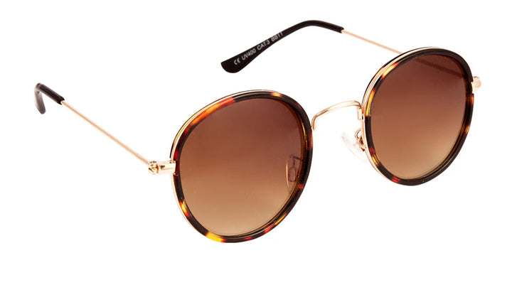 Sunglasses Adult Blackbird - Tortoise - نظارات