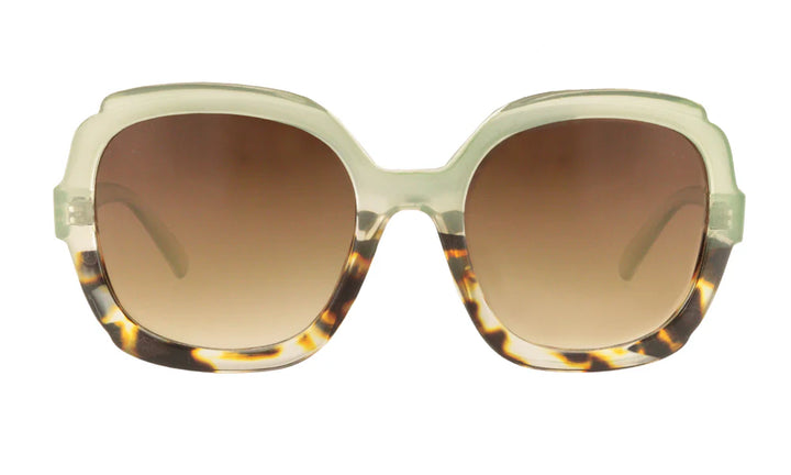 Sunglasses Adult Tiffany - Bahia - نظارات