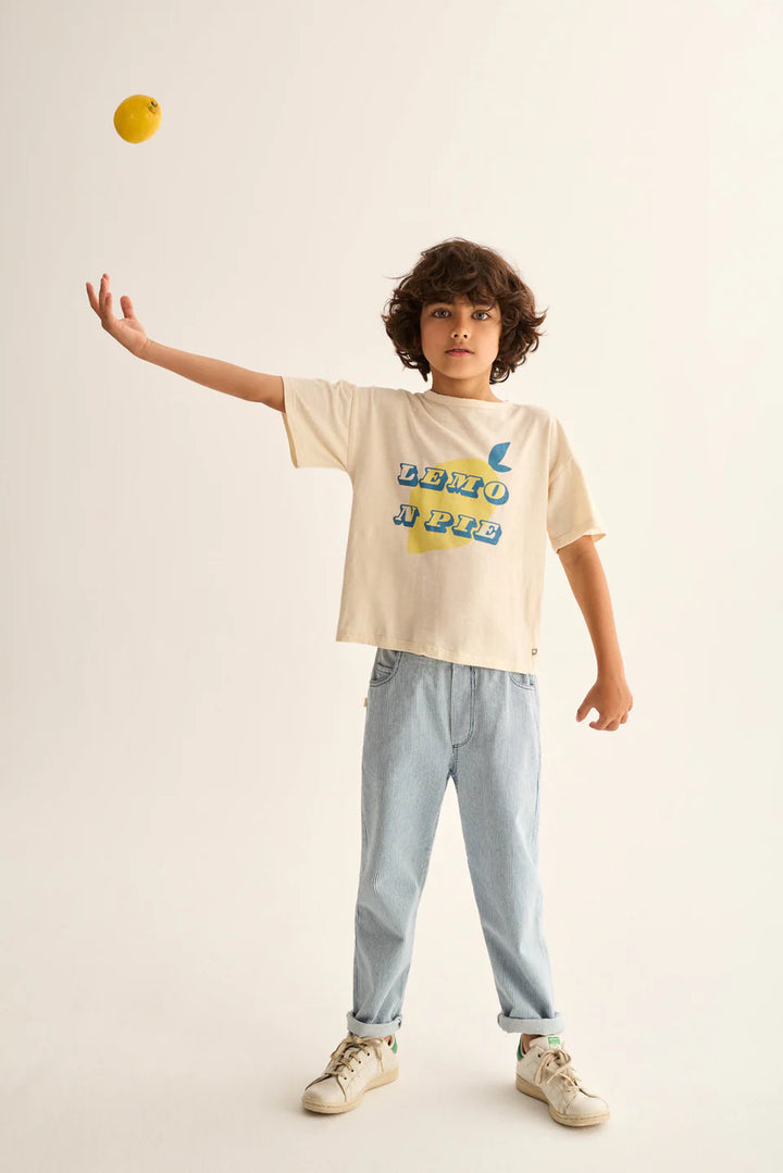 boys chambray denim shorts in soft blue cotton