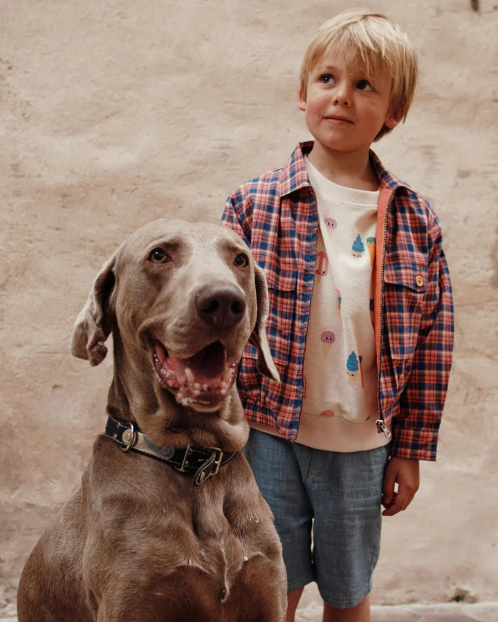 Shorts Boy Fitte Blue - قصيرة
