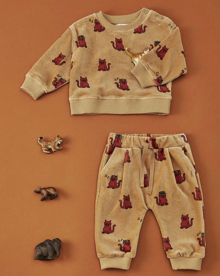 Sweatshirt Boy Velvet Acajou Cool Cat - قصيرة
