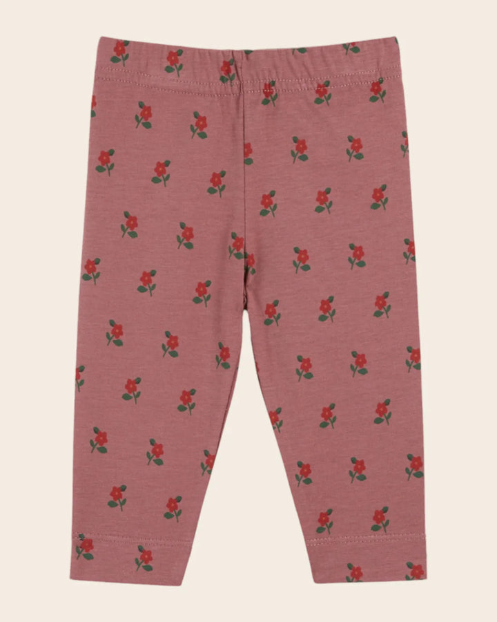 Legging Baby Girl Poppy - Violine - قصيرة