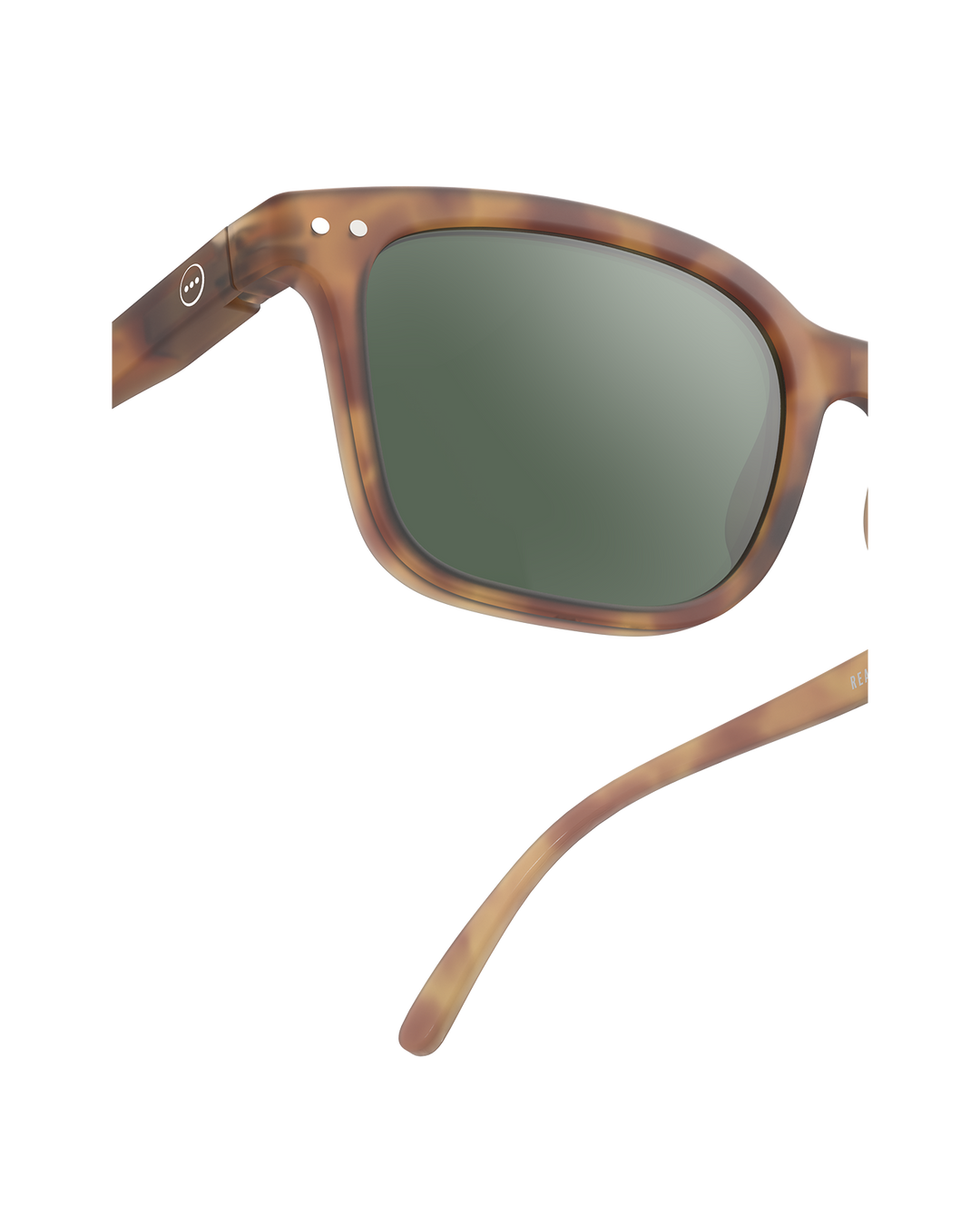 Sun Adult Shape #L The Big One - Havane - نظارات
