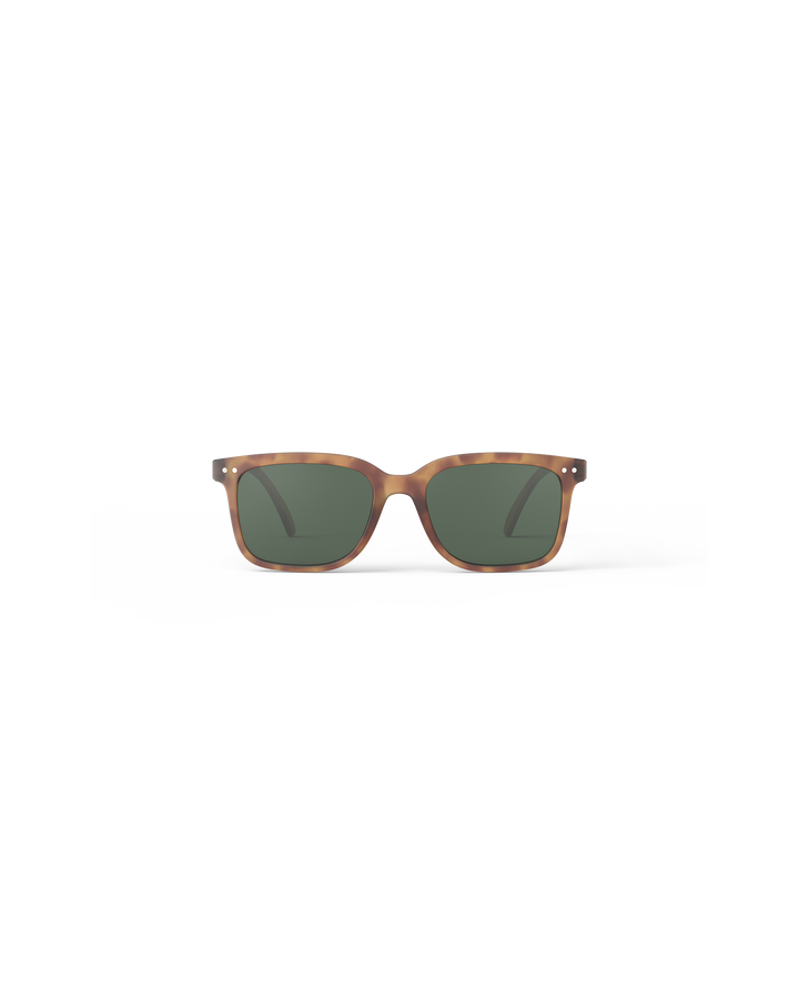Sun Adult Shape #L The Big One - Havane - نظارات