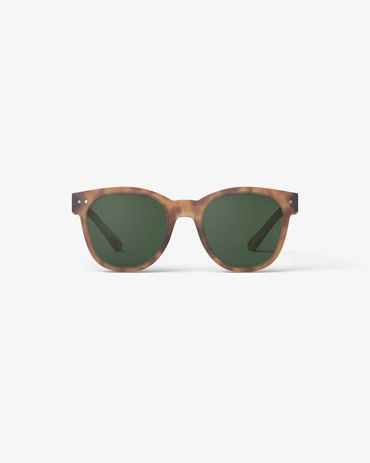 Sun Adult Shape #N - Havane - نظارات
