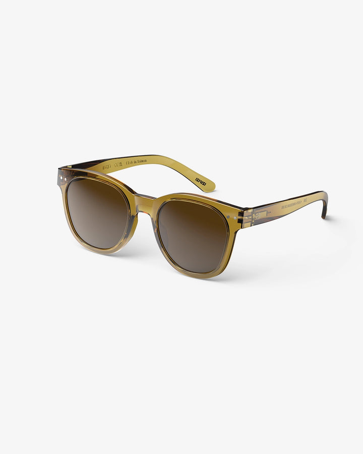 Sun Adult Shape #N - Golden Green - نظارات