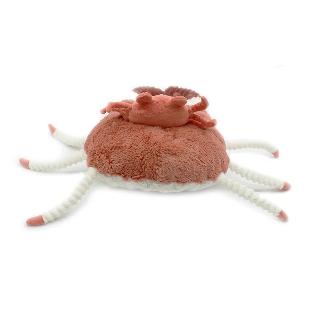 Cassecou The Crab Duo Terracotta - لعب الاطفال الطرية