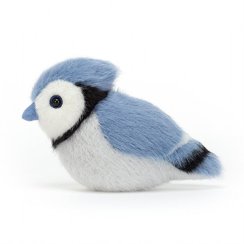 Birdling Blue Jay - لعب الاطفال الطرية