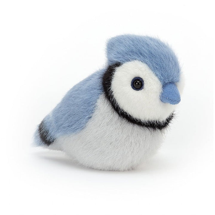 Birdling Blue Jay - لعب الاطفال الطرية