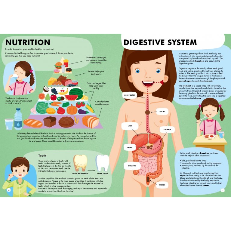 Travel Learn And Explore From The World Of The Human Body - الكتاب