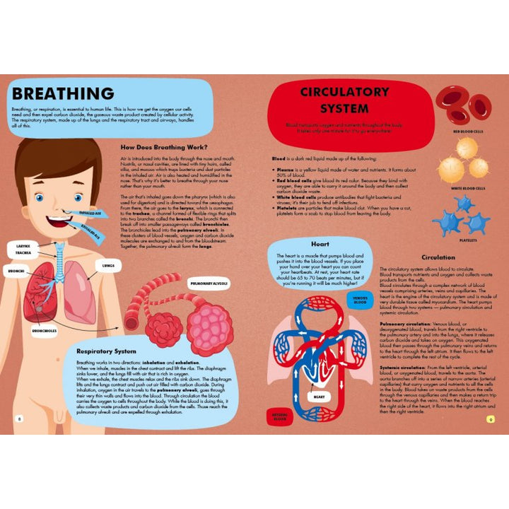 Travel Learn And Explore From The World Of The Human Body - الكتاب
